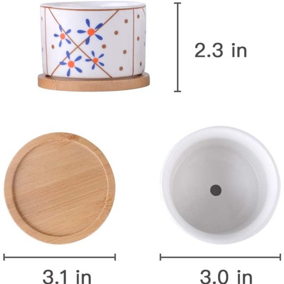 4 Ceramic Planters for Cactus Succulent with Drainage Hole & Bamboo Saucers 3" - Picture 6 of 6